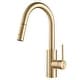 preview thumbnail 6 of 149, Kraus 2-Function 1-Handle 1-Hole Pulldown Sprayer Brass Kitchen Faucet