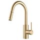preview thumbnail 10 of 167, Kraus Oletto 2-Function 1-Handle 1-Hole Pulldown Kitchen Faucet