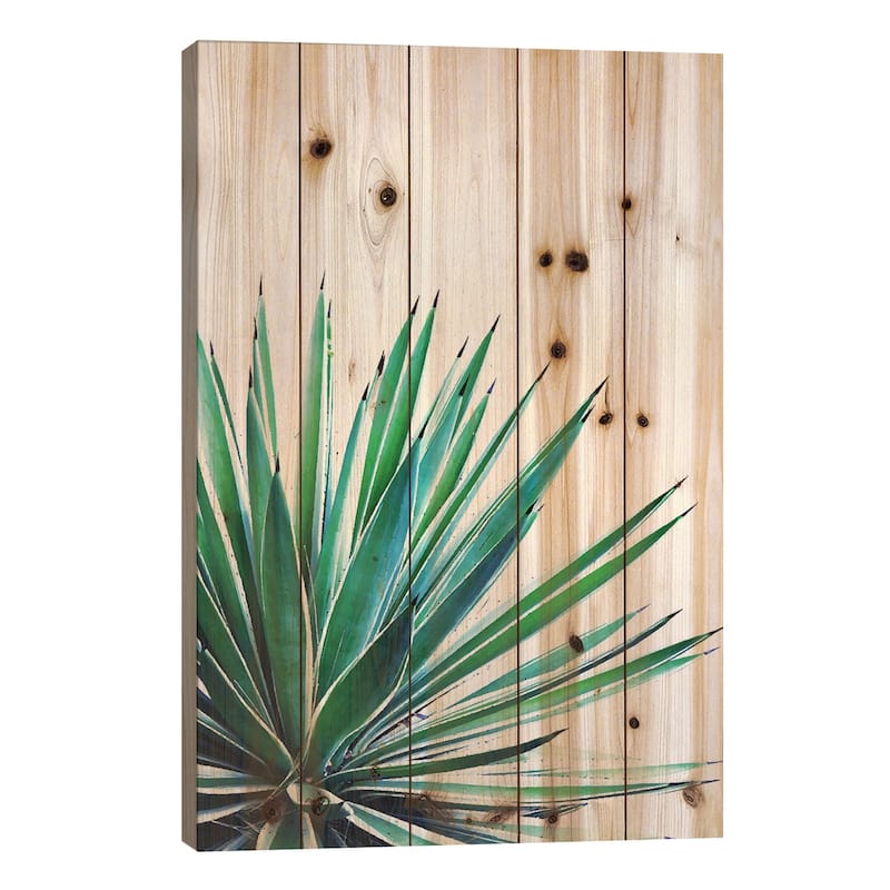 Agave Love Print On Wood by 83 Oranges - Multi-Color - 26x18x1.5