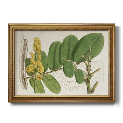 Tropical Foliage & Fruit II Premium Framed Canvas- Ready to Hang