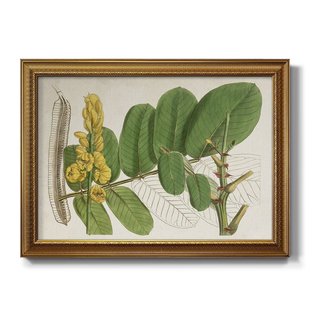 Tropical Foliage & Fruit II Premium Framed Canvas- Ready to Hang