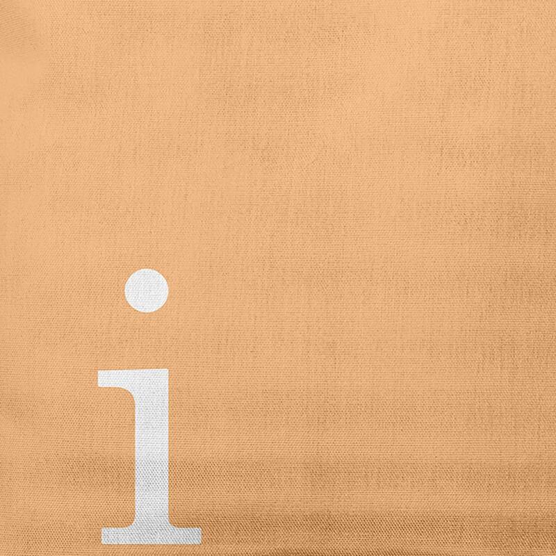 Modern Monogram Indoor/Outdoor Throw Pillow-I