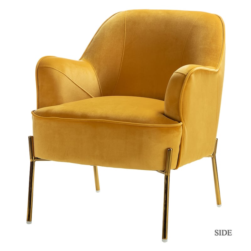 Barbara Modern Velvet Accent Chair for Bedroom with Metal Legs by HULALA HOME