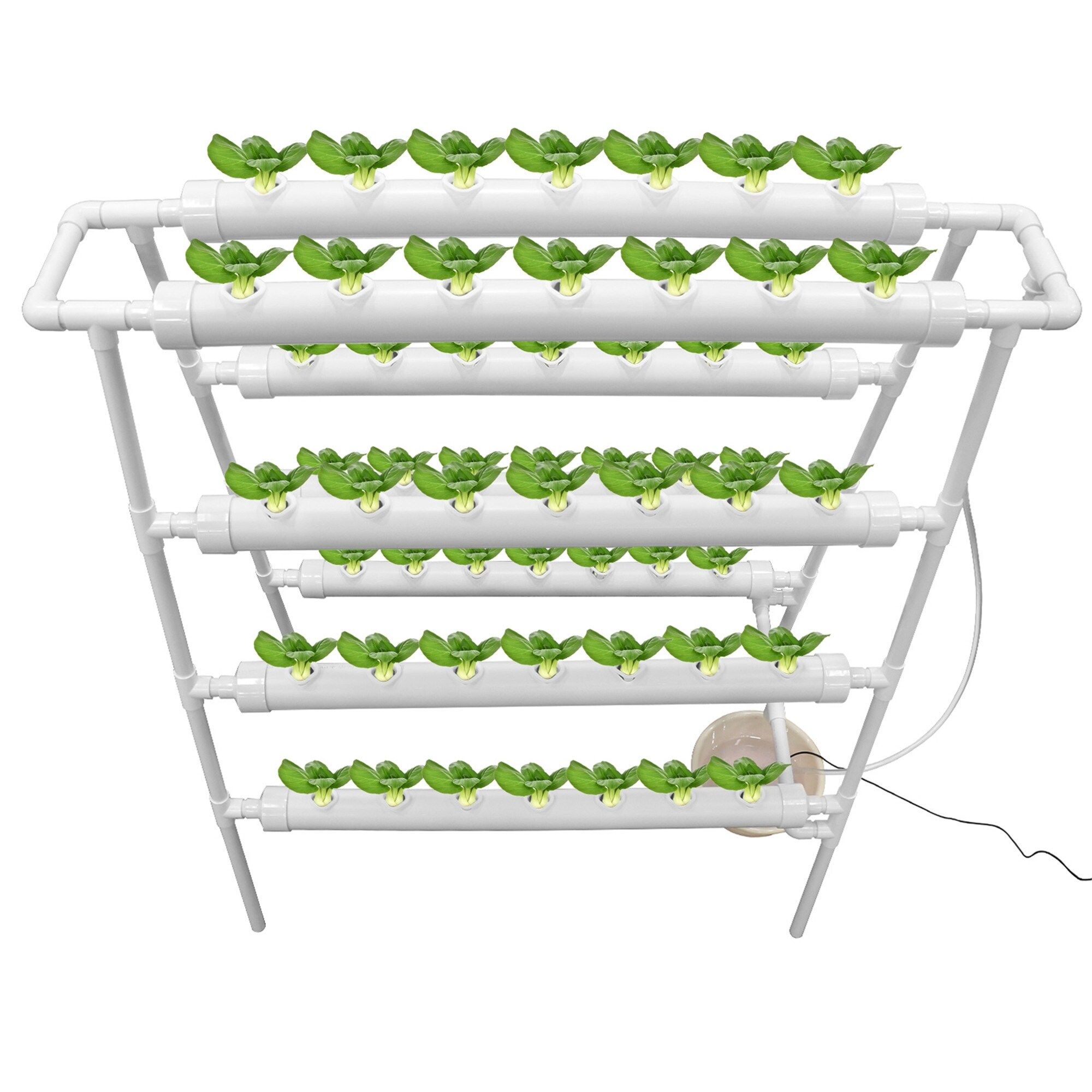Shop Plant Sites Hydroponic Site Grow Kit Hydroponic Soilless