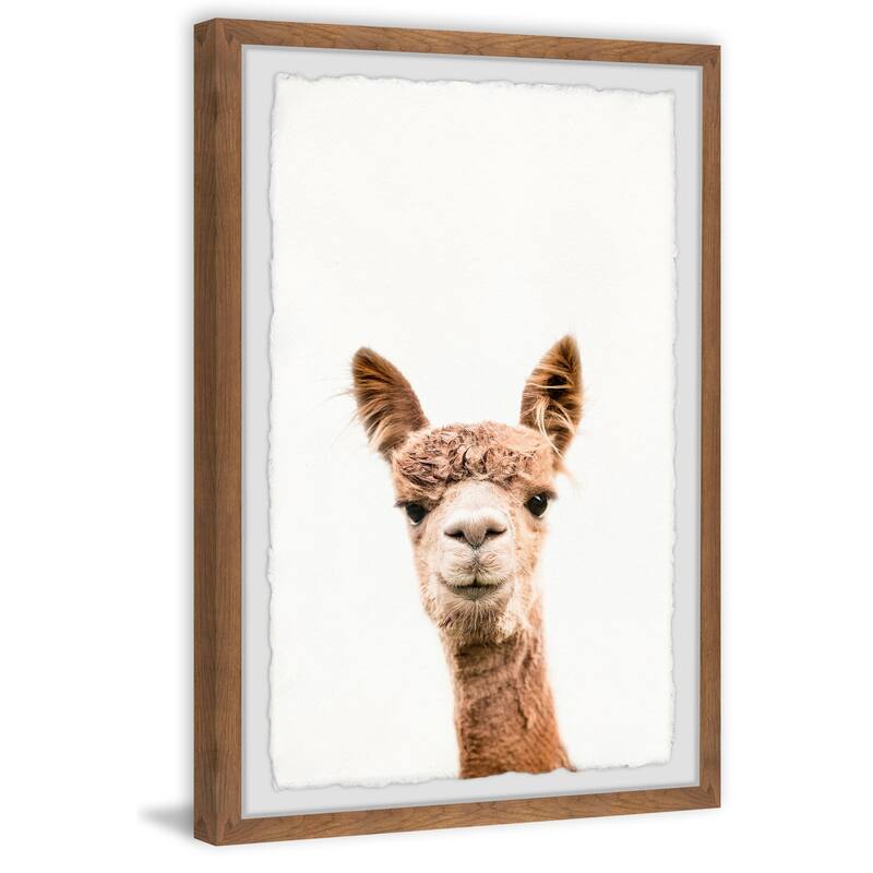 Llama Face IV Framed Wall Art, Elegant Home Touch - Sophisticated Artwork for Refined Décor