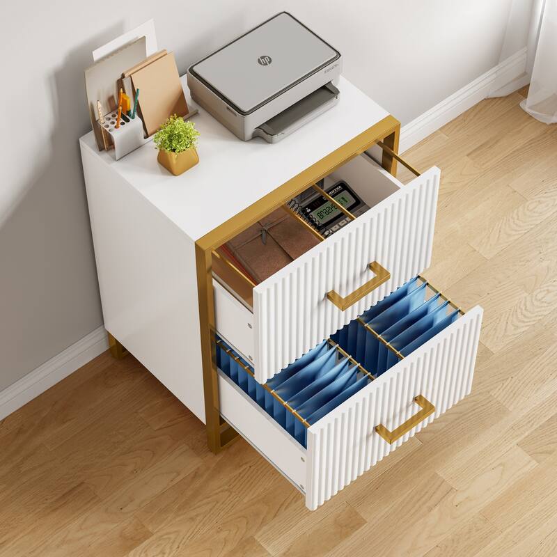 Moasis 2 Drawer File Cabinet with Gold Frame Filing Cabinet for Letter Size Printer Stand