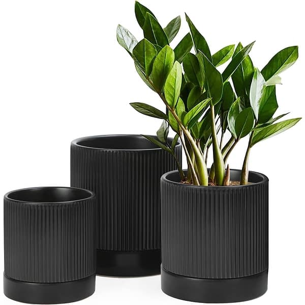 Pack of 3 Ceramic Planters 6/5/4 Inch, Indoor Plant Pots with Drainage  Holes and Tray - Bed Bath & Beyond - 38207295
