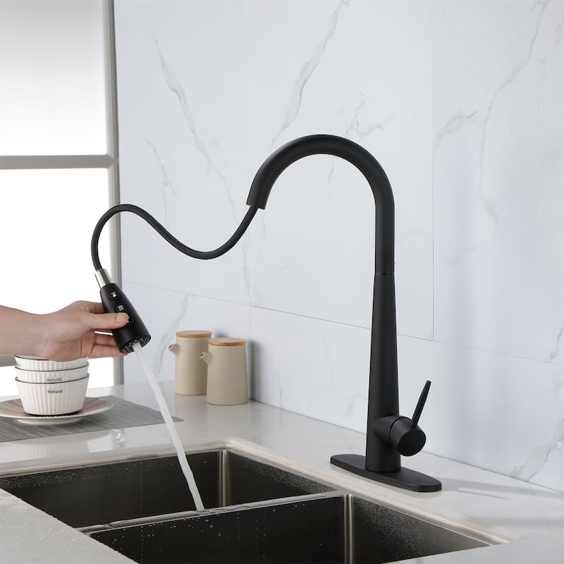 Kitchen Faucet with Pull Down Sprayer Stainless Steel