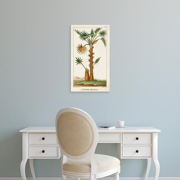 Easy Art Prints Turpin's 'Turpin Exotic Palms I' Premium Canvas Art