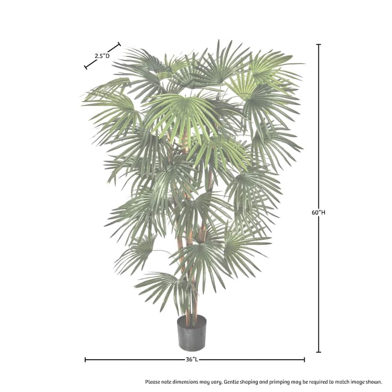 Potted Fan Palm 5' - Green