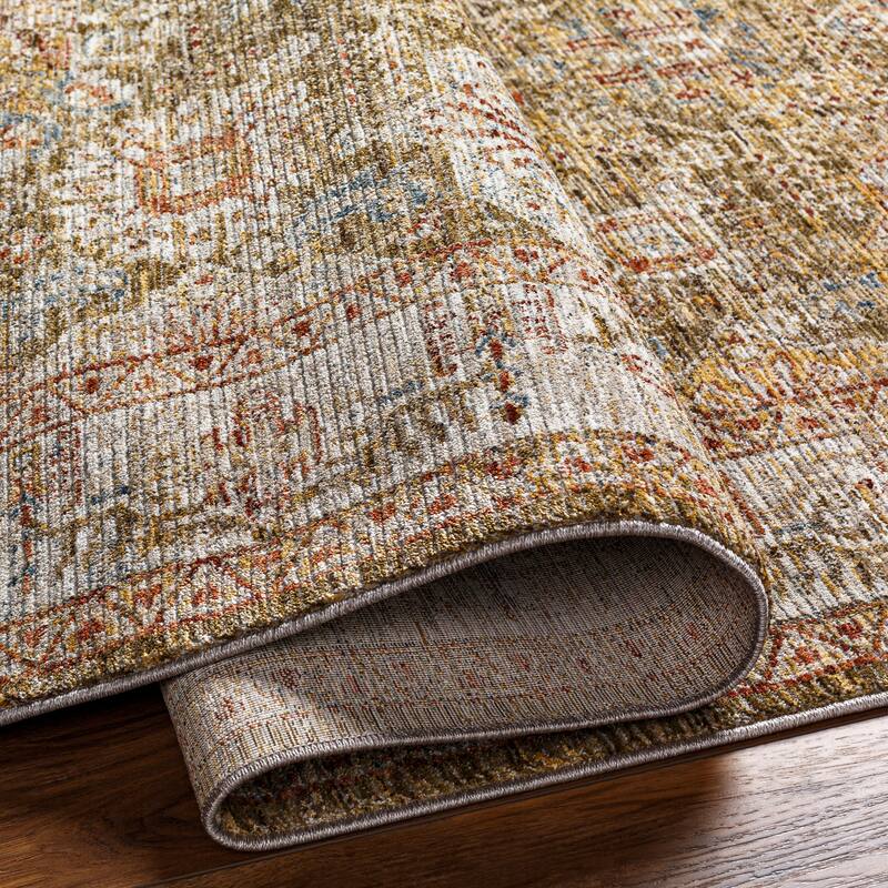Aiyla Traditional Medallion Area Rug