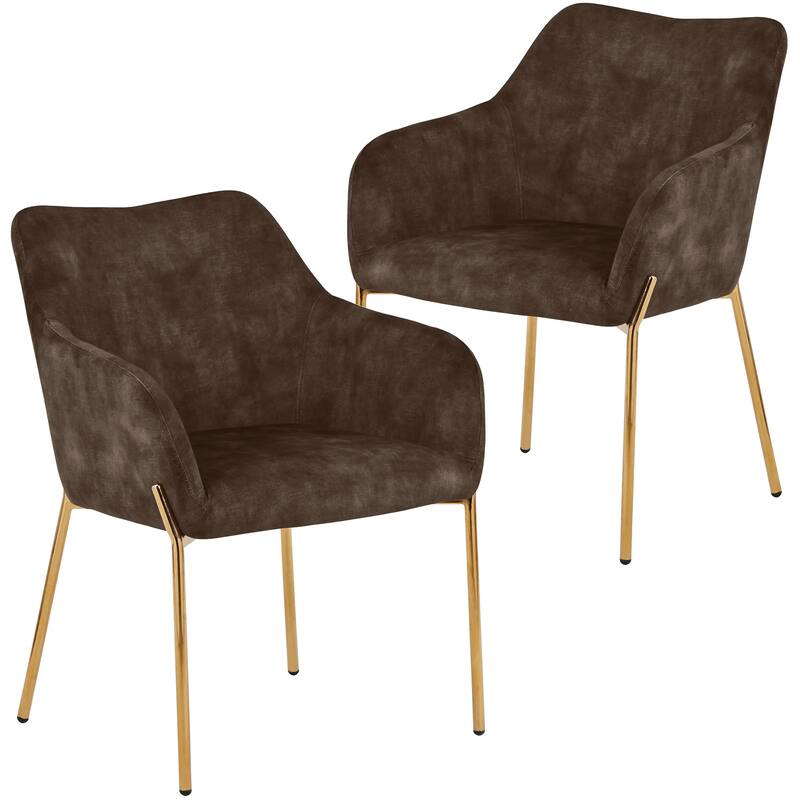 Zaire Upholstered Dining Chair in Velvet/Leather/Boucle with Gold Chrome Iron Set of 2 - Brown