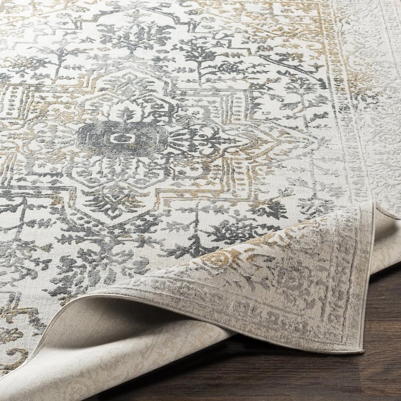 Livabliss Traditional Aisha Medallion Area Rug