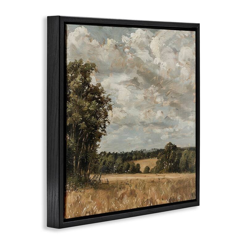 Stupell Clouds Over Country Scenery Framed Floater Canvas Wall Art Design By LSR Creative Studio