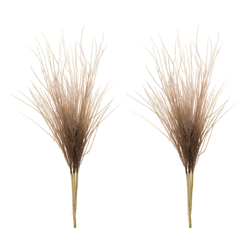 Grass Plume Bundle (Set of 2)