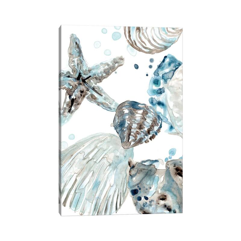 iCanvas "Cerulean Seashells II" by June Erica Vess Canvas Print