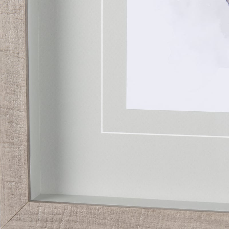Robin I Framed Art Print