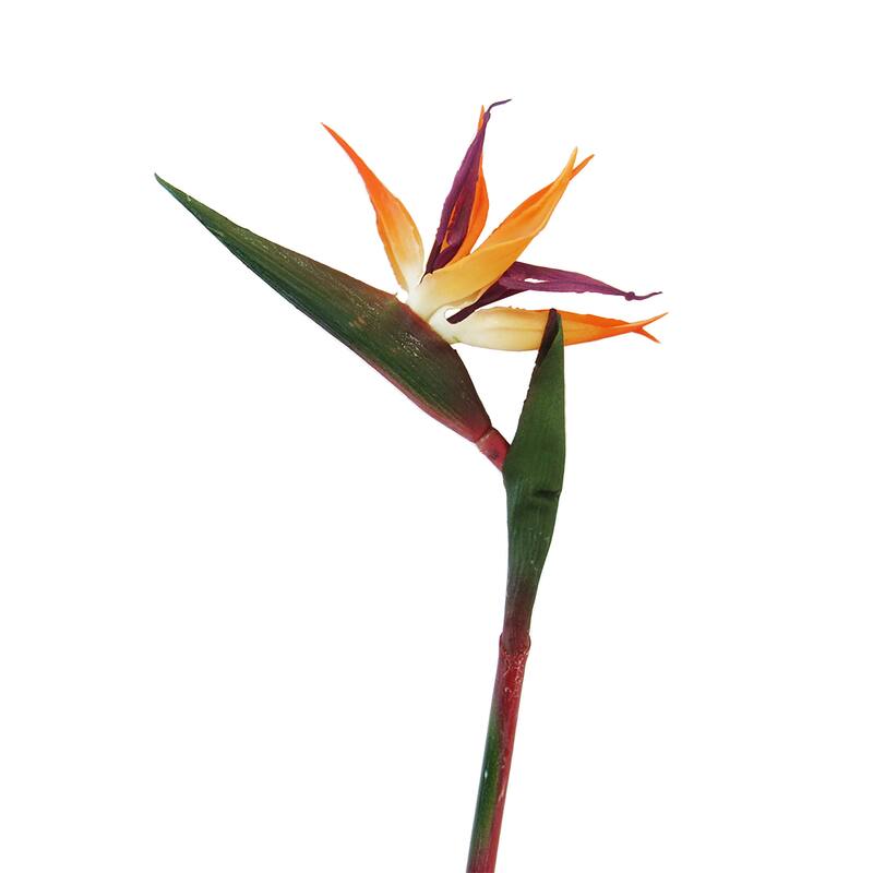 Set of 4 Real Touch Orange Artificial Bird of Paradise Flower Stem Tropical Spray 24in - 24" L x 5.5" W x 2" DP