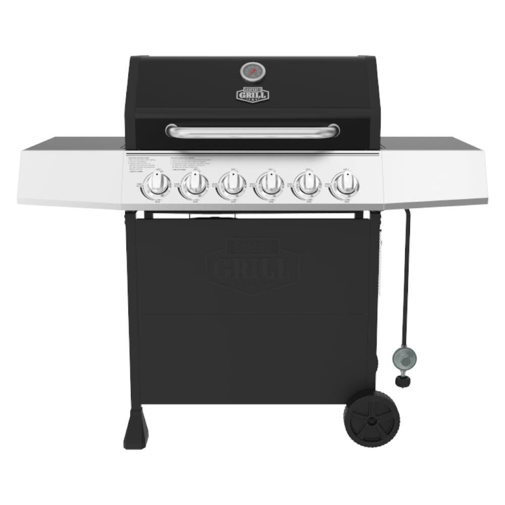 6 Burner Propane Gas Grill in Black