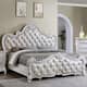 Option White