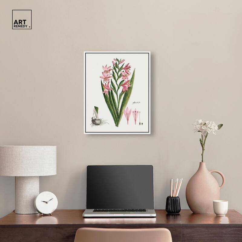 Gladiolus Carneus Canvas by Art Remedy