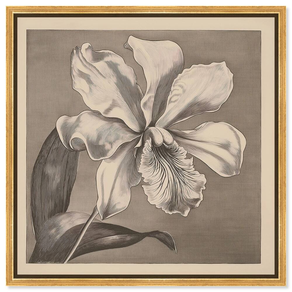 Petals Unfurled III Canvas by Art Remedy