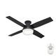 Hunter 52" Dempsey Flush Mount Ceiling Fan w/ LED Light Kit and Handheld Remote