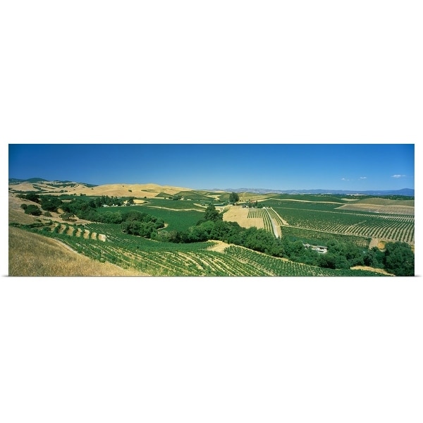 "Vineyard, Carneros District, Napa Valley, Napa County, California" Poster Print