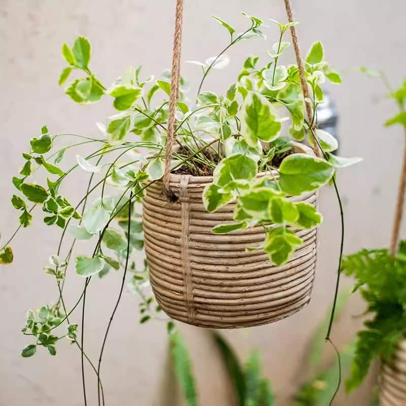 RusticReach Faux Rattan Cement Hanging Planter