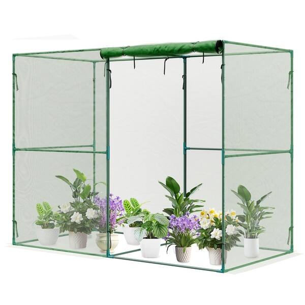 big lavender plants Lavender Big Time Blue for Sale