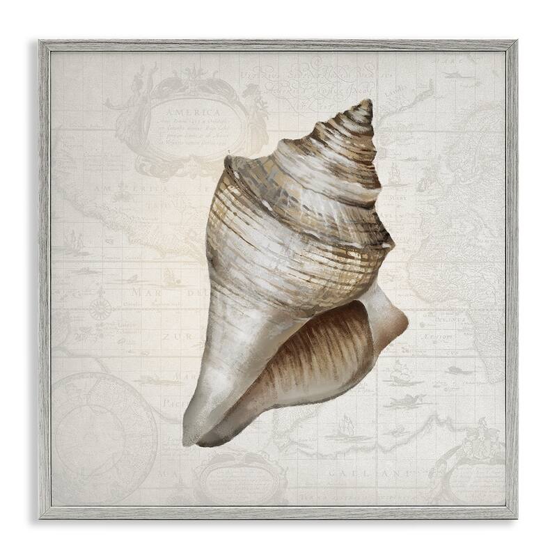 Stupell Conch Shell over Vintage Map Framed Giclee Art Design By Conrad Knutsen - 17 x 17 - Grey