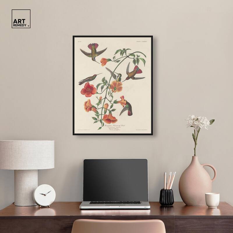 Humming Bird 1834 Canvas by Art Remedy