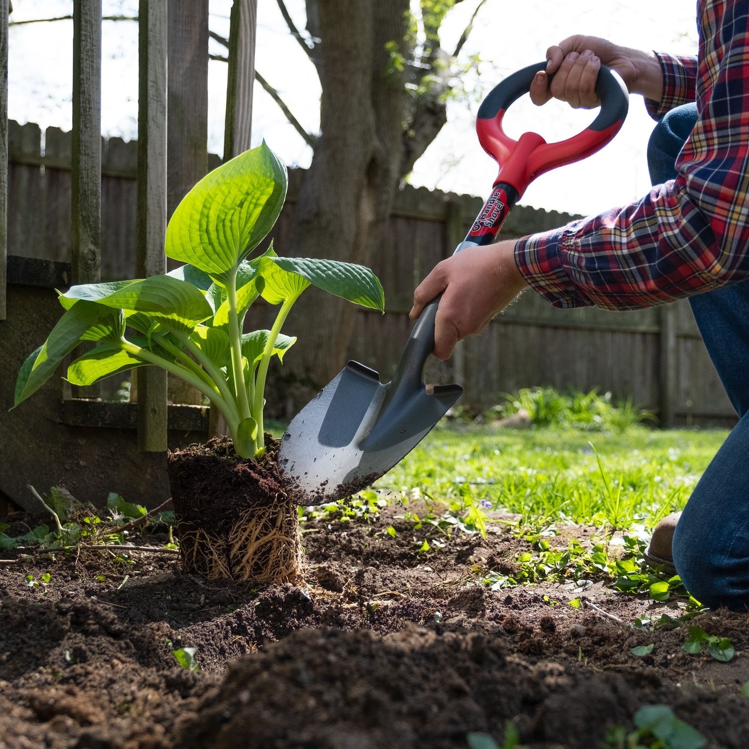 Radius shop garden shovel
