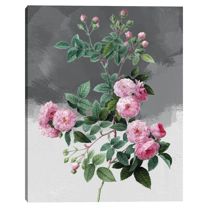 Pink Roses Grey by Design Lab Canvas Art Print