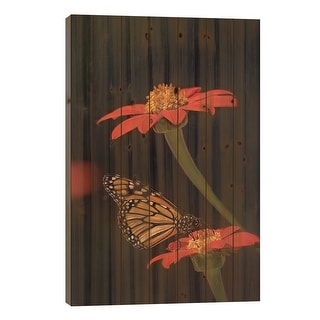 Butterfly Portrait X Print On Wood by PHBurchett - Multi-Color