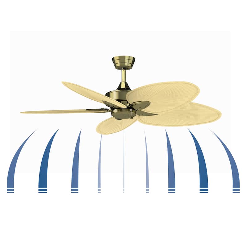 Fanimation Windpointe 52 inch Indoor Ceiling Fan