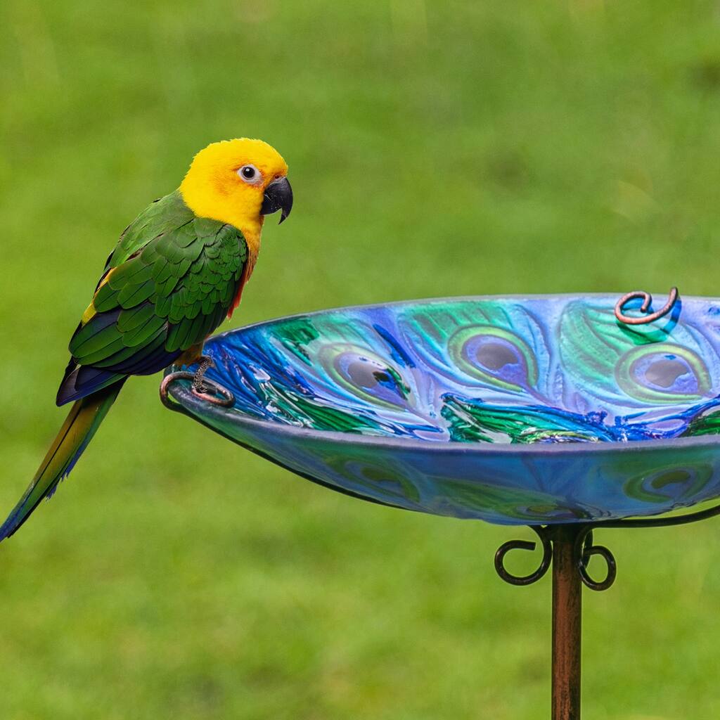 Adeco Bird Feeders Bird Baths with Metal Ground Stake