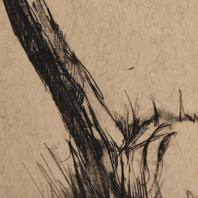Tree Drawing III (45 x 60) Canvas Art Print