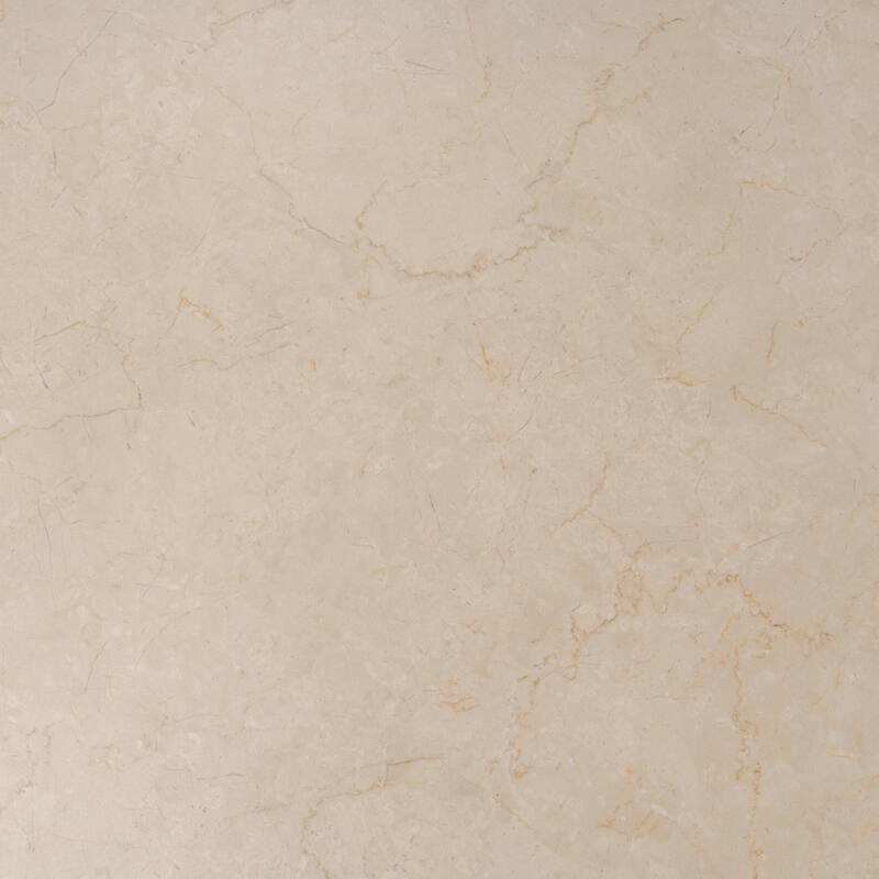 Regalia 24x48 in. Matte Porcelain Marble-look Vein Large Wall and Floor Tile (15.5 sq ft/case, 2-Pack)