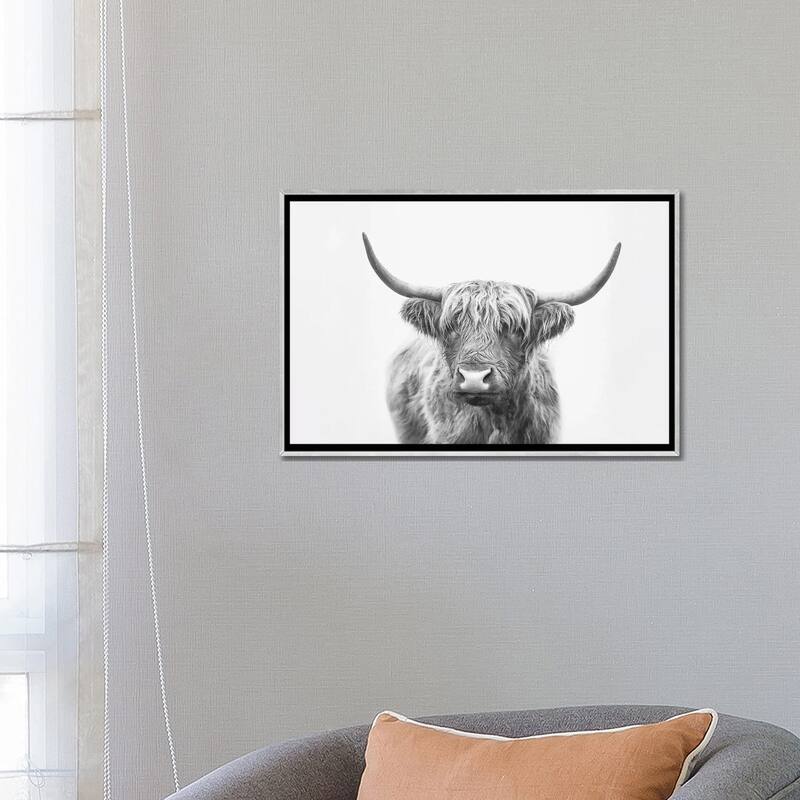 iCanvas "Highland Bull" by Sisi & Seb Framed