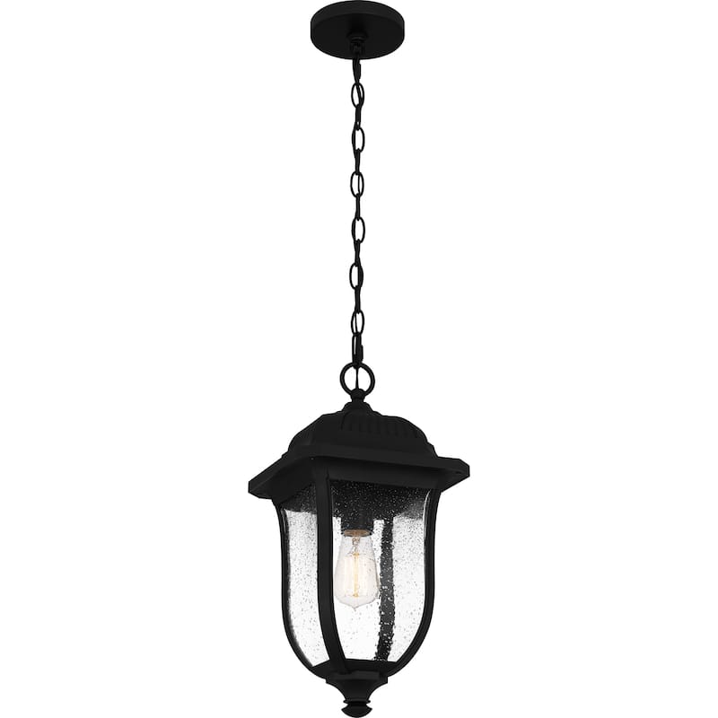 Mulberry 1-Light Matte Black Outdoor Hanging Lantern