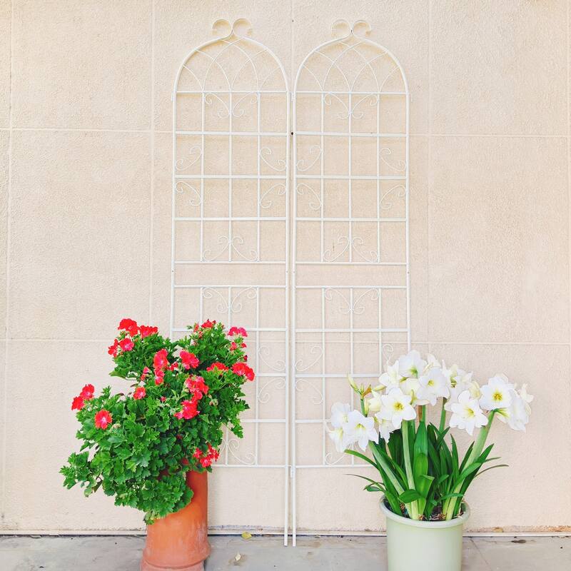 2 Pack Metal Garden Rustproof Trellis for Climbing Plants