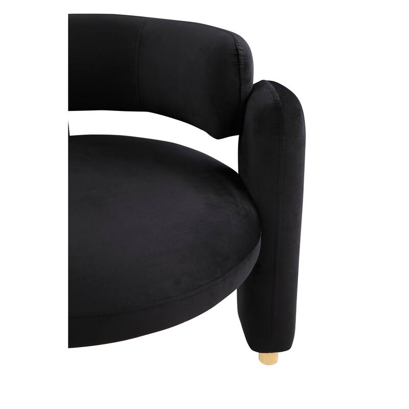 Modern Accent Chair With Solid Wood Frame, For Living Room, Bedroom, Lounge Area, Office