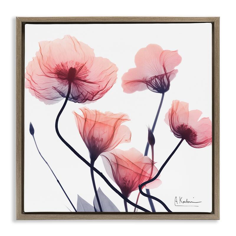 Stupell Pink Chic Simple Flowers Framed Floater Canvas Wall Art Design By Albert Koetsier - 25 x 25 - Brown
