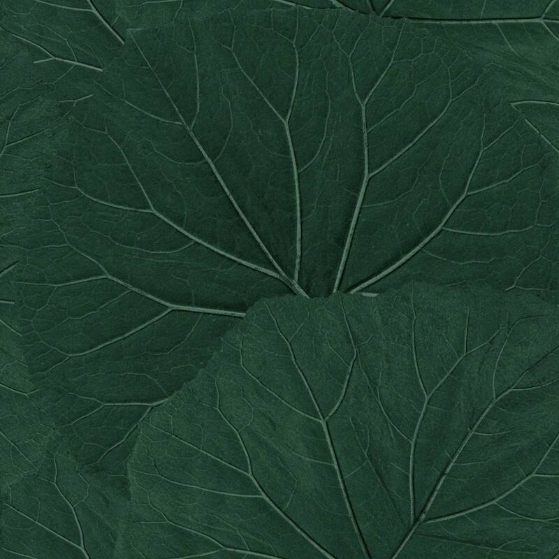 ESTA Home Xylem Evergreen Large Leaves Wallpaper - Green