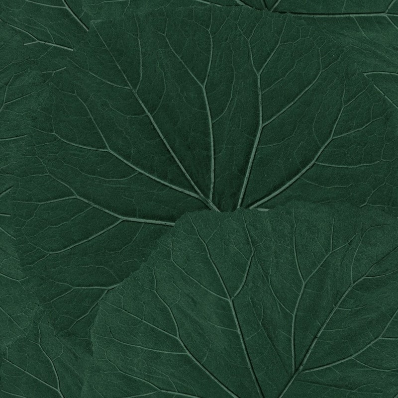 ESTA Home Xylem Evergreen Large Leaves Wallpaper