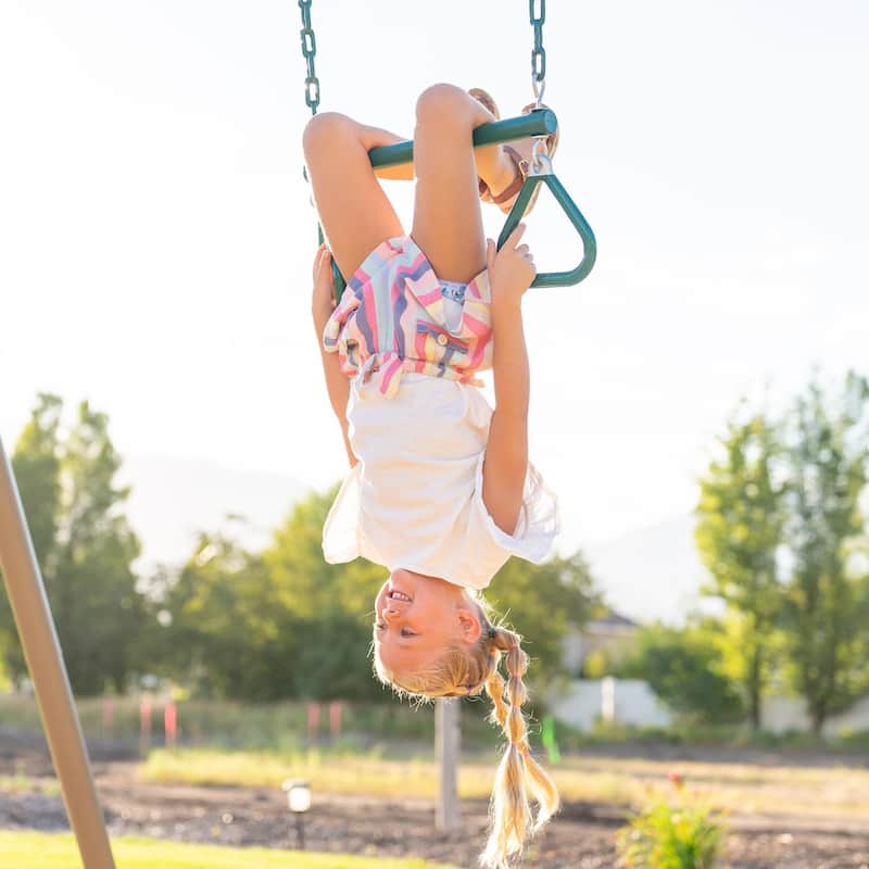 Lifetime Metal Swing Set (Earthtone)