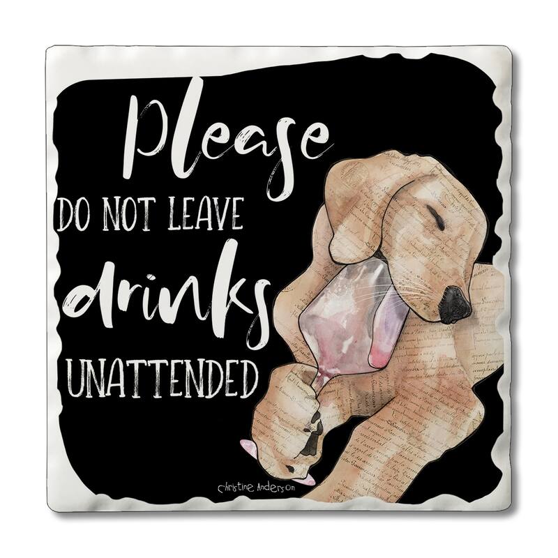 Counterart Absorbent Stone Coasters - Unattended - Set of 4 - 4x4x1.533