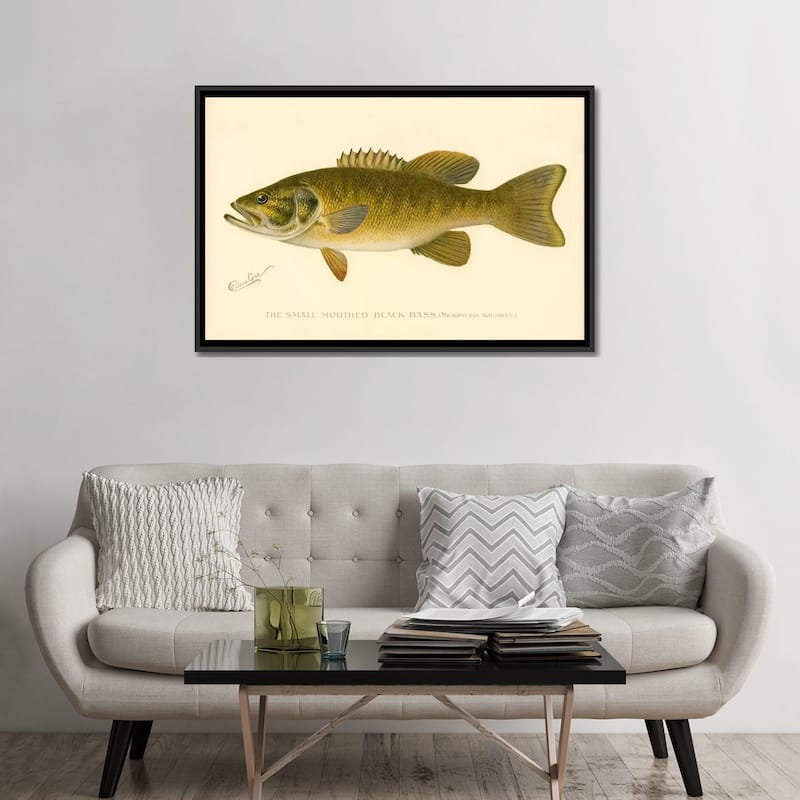 iCanvas "Small Mouthed Black Bass" by Print Collection Framed Canvas Print