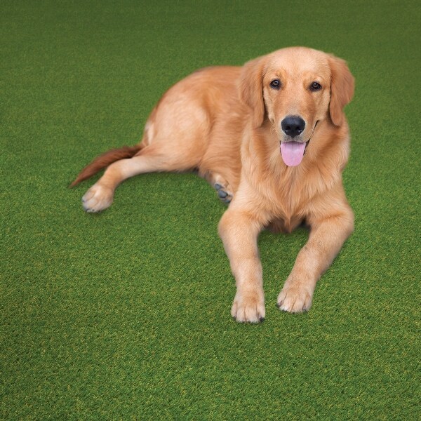 Style Haven EZ Care Artificial Turf Indoor/Outdoor Pet Friendly